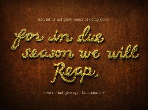 From BibleScreen.com 