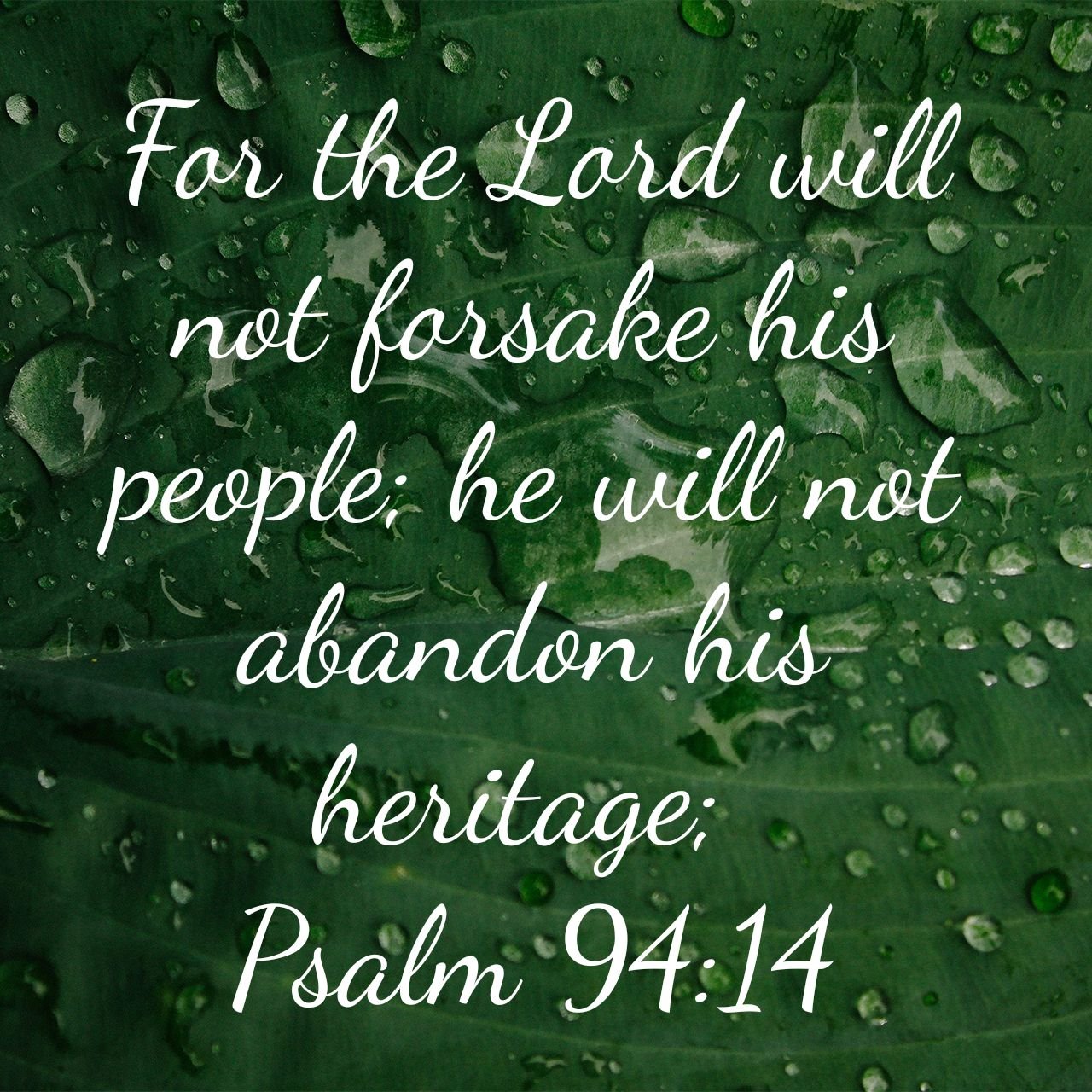 Judgment Day – Pastor Fran